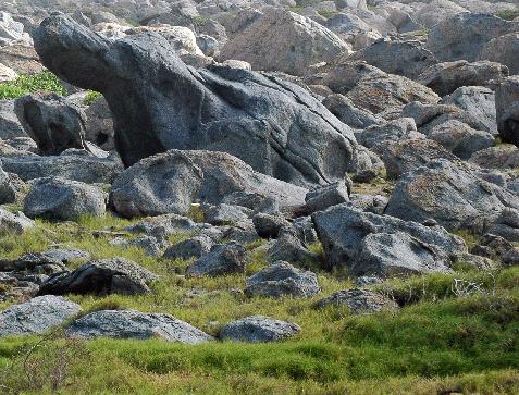 20060117131203   Rocky meadow